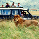 African Safari party theme - thumbnail image