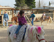 Pony Ride party theme - thumbnail image