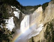 Yellowstone National Park party theme - thumbnail image
